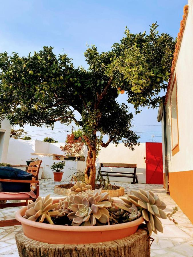Moita Cottage Moita (Leiria) Exterior foto