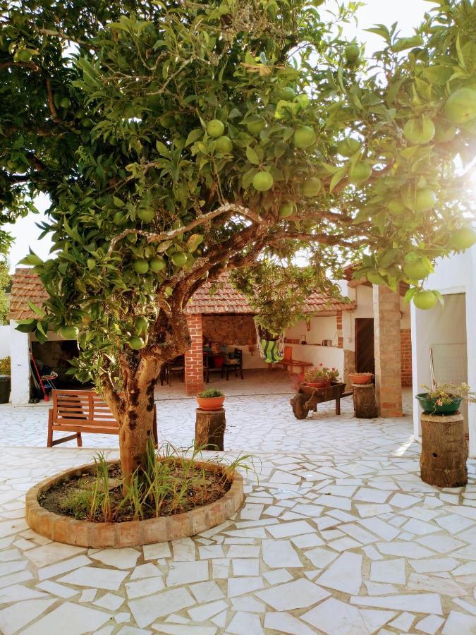 Moita Cottage Moita (Leiria) Exterior foto